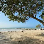 Carey Beach Baru