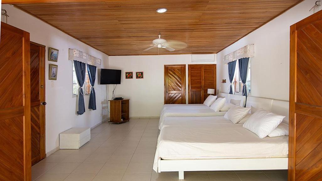 Hotel Carey Beach Baru